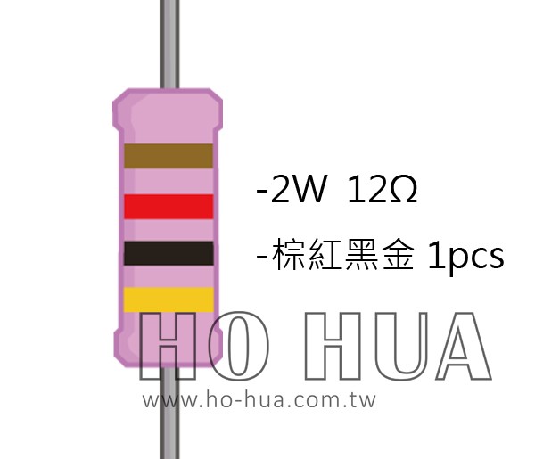 2WS 12Ω 金屬皮膜電阻  ( 2WS-12R ) 2pcs