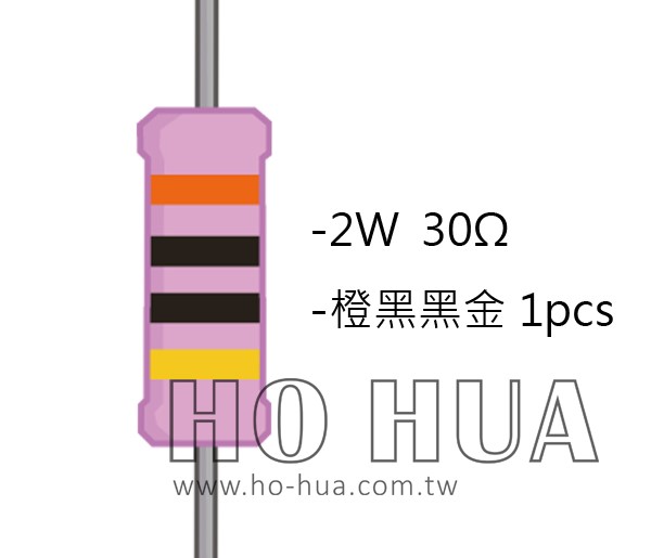 2WS 30Ω 金屬皮膜電阻  ( 2WS-30R ) 2pcs