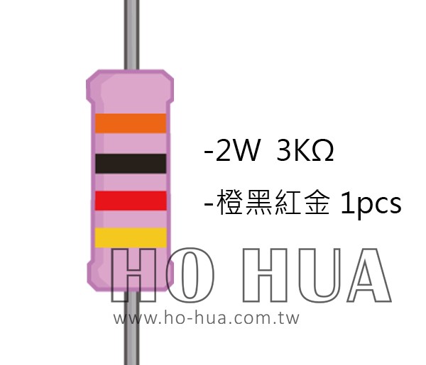 2WS 3.0KΩ 金屬皮膜電阻  ( 2WS-3K ) 2pcs