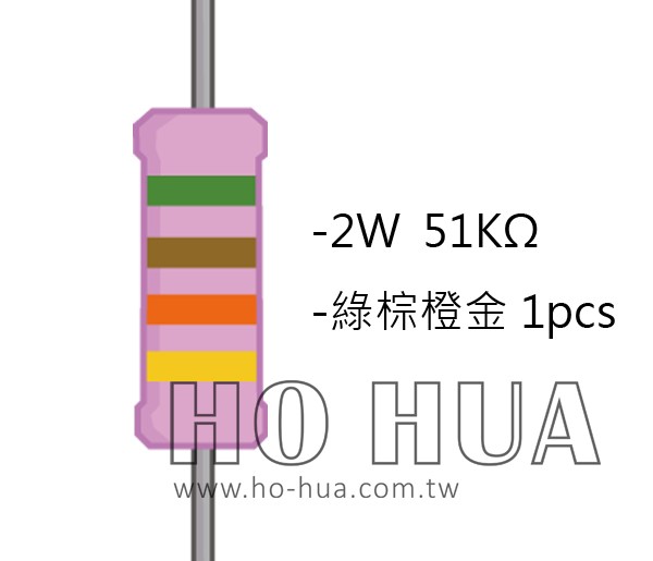 2WS 51KΩ 金屬皮膜電阻  ( 2WS-51K ) 2pcs