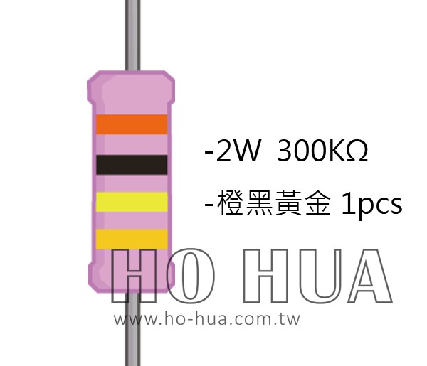 2WS 300KΩ 金屬皮膜電阻  ( 2WS-300K ) 2pcs