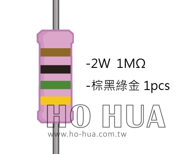 2WS 1.0MΩ 金屬皮膜電阻  ( 2WS-1M ) 2pcs