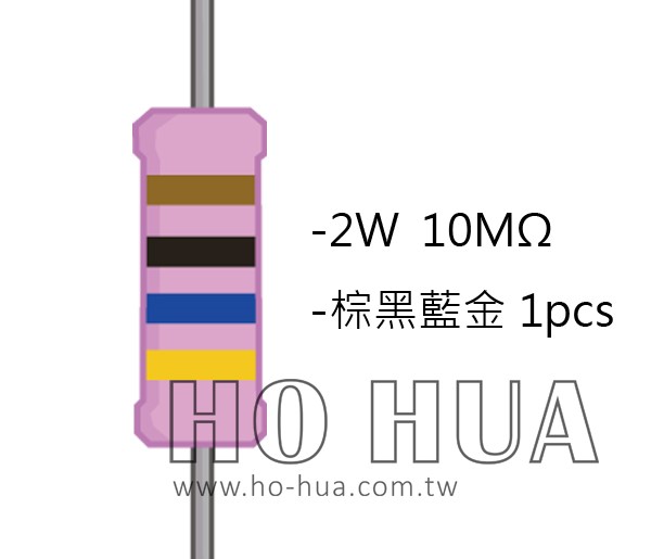 2WS 10MΩ 金屬皮膜電阻  ( 2WS-10M ) 2pcs