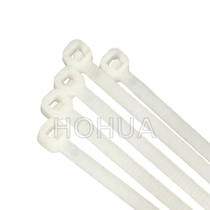 本色 束帶 W 2.5*203mm 100pcs ( TSL-200-M )