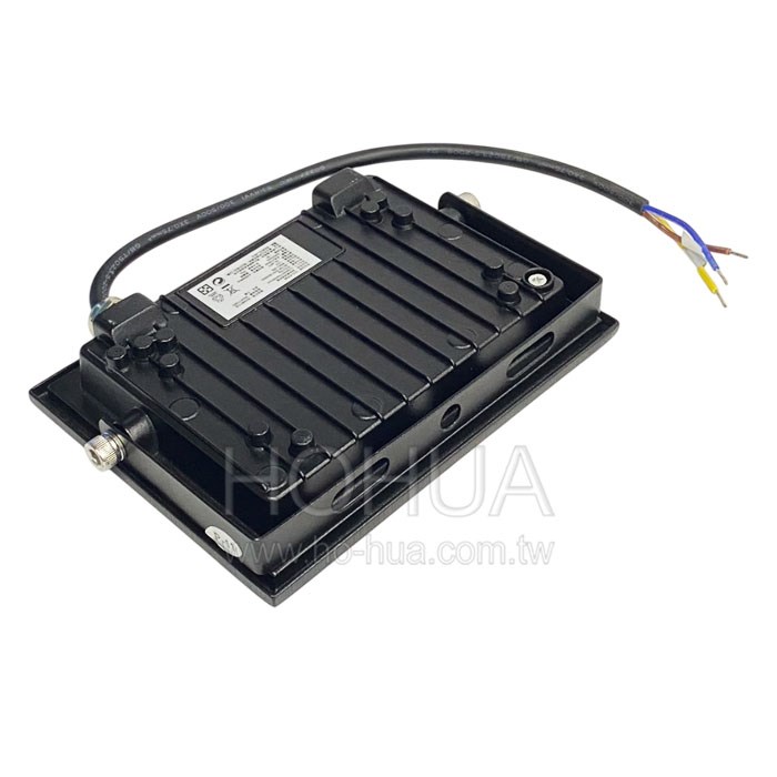 EDSDS 30W LED防水投射燈 110-220V W-EDSP30W