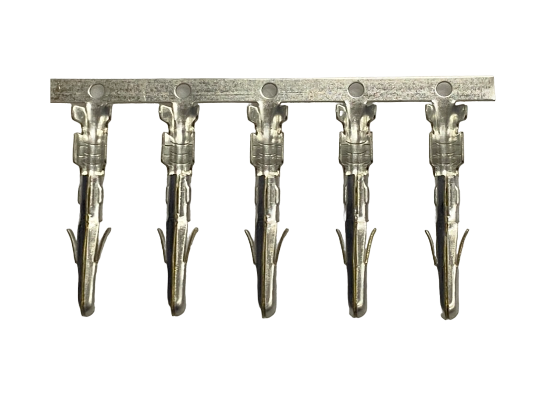 大4P公端子 20pcs  ( F50/20pcs )