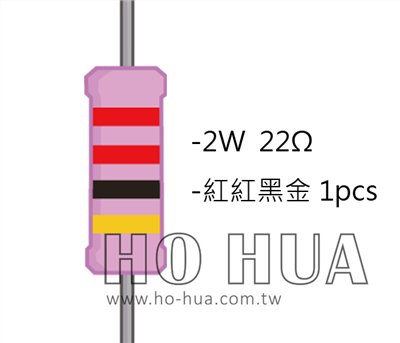 2WS 22Ω 金屬皮膜電阻 ( 2WS-22R ) 2pcs