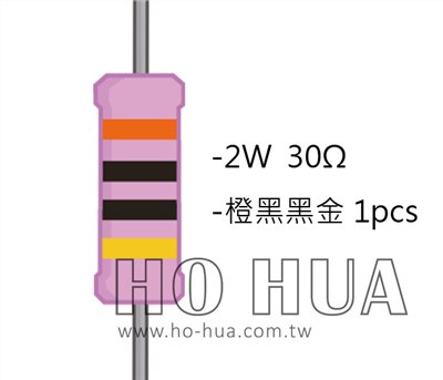 2WS 30Ω 金屬皮膜電阻  ( 2WS-30R ) 2pcs