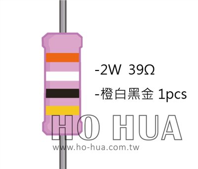 2WS 39Ω 金屬皮膜電阻  ( 2WS-39R ) 2pcs