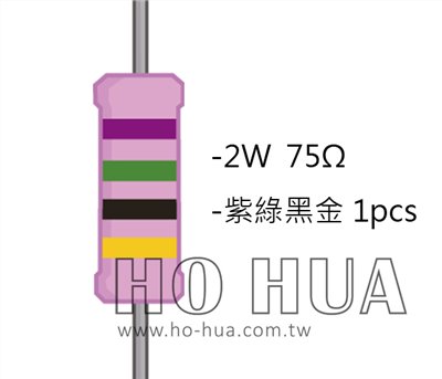 2WS 75Ω 金屬皮膜電阻  ( 2WS-75R ) 2pcs