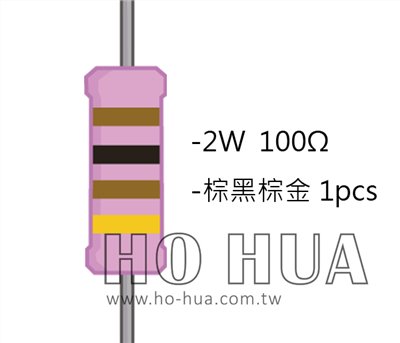 2WS 100Ω 金屬皮膜電阻  ( 2WS-100R ) 2pcs
