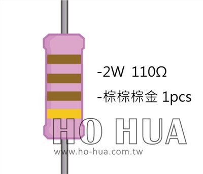 2WS 110Ω 金屬皮膜電阻  ( 2WS-110R ) 2pcs