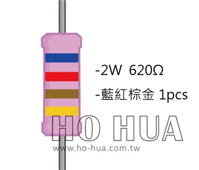 2WS 620Ω 金屬皮膜電阻  ( 2WS-620R ) 2pcs