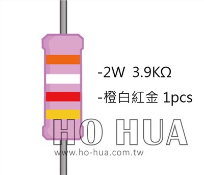 2WS 3.9KΩ 金屬皮膜電阻  ( 2WS-3.9K ) 2pcs