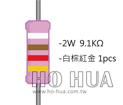 2WS 9.1KΩ 金屬皮膜電阻  ( 2WS-9.1K ) 2pcs