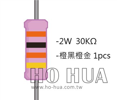 2WS 30KΩ 金屬皮膜電阻  ( 2WS-30K ) 2pcs