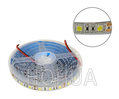 300燈5050條燈-白 12VDC ( 0465-W )