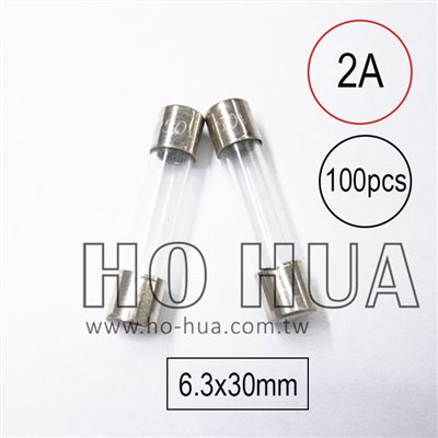 301-2A 保險絲 100pcs ( 2A250VAC 6.3x30mm )