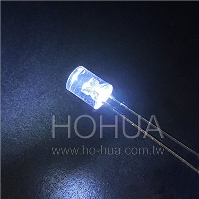 5mm平頭LED 白光 2pcs ( DL5W8C9 )