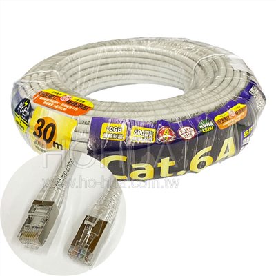 TWINNET Cat.6A SFTP雙遮蔽極速網路線 30米 ( 02-01-530 )