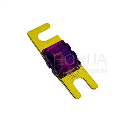 100A汽車雲母保險絲 1724-100A 1pcs